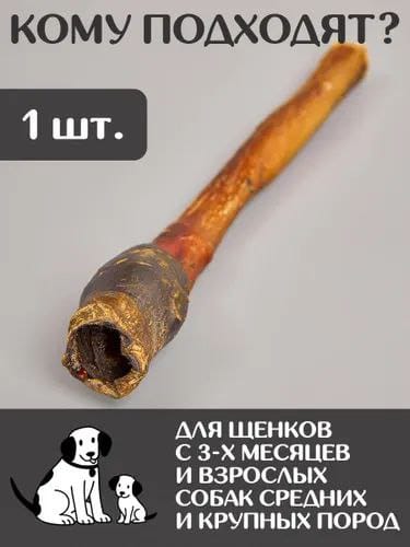🐾 НОВИНКА! Конские корни: лакомство для любимцев! 🐶