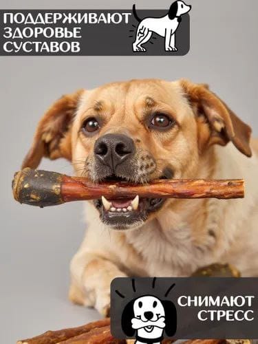 🐾 НОВИНКА! Конские корни: лакомство для любимцев! 🐶