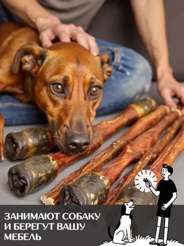 🐾 НОВИНКА! Конские корни: лакомство для любимцев! 🐶