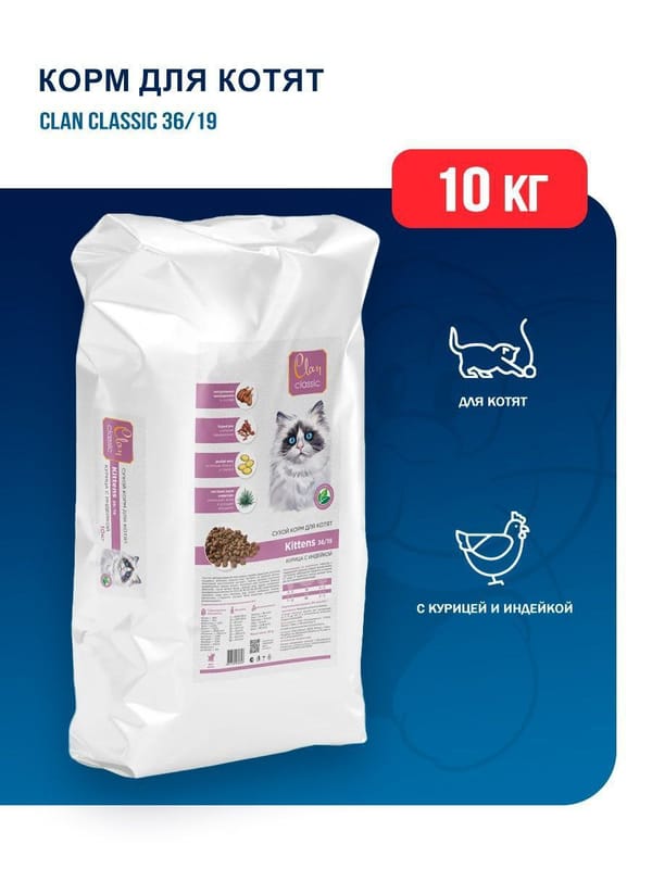 -50% на Клан Классик для котят в Калининграде